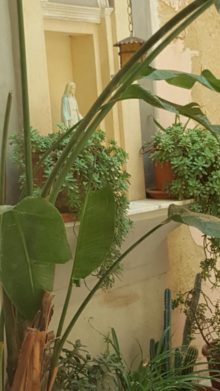 Casa Turismo "Madonna Del Paradiso" 马扎拉德尔瓦洛 外观 照片
